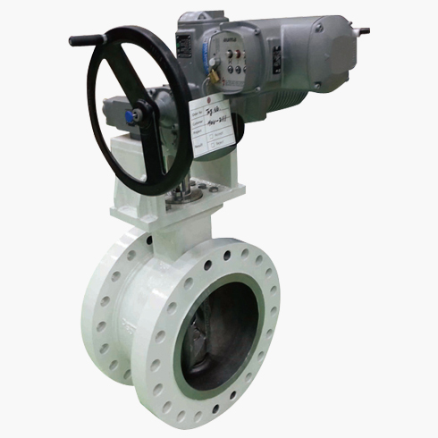 image of Eccentric Segmental Ball Valve